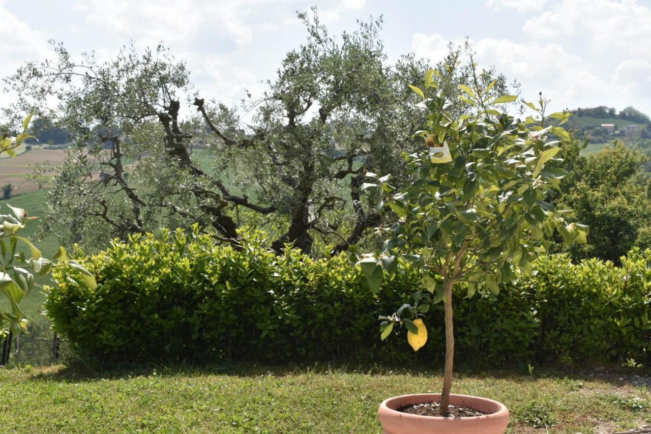 Casa Raffaela, Charming Villa With A Nice Pool Monte Giberto Екстериор снимка