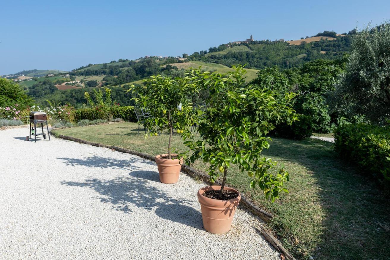 Casa Raffaela, Charming Villa With A Nice Pool Monte Giberto Екстериор снимка