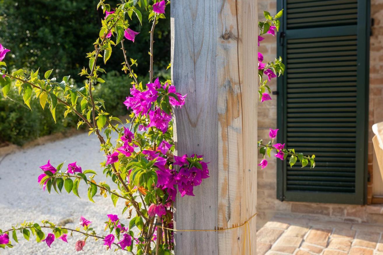 Casa Raffaela, Charming Villa With A Nice Pool Monte Giberto Екстериор снимка